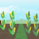 genetically modified organisms