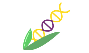 Genetically Modified Organisms / GMO