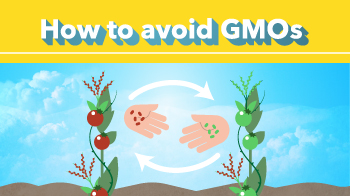 How to avoid GMO