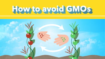 How to avoid GMOs?